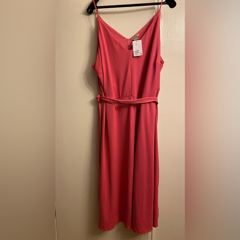 Plus size dressy dress